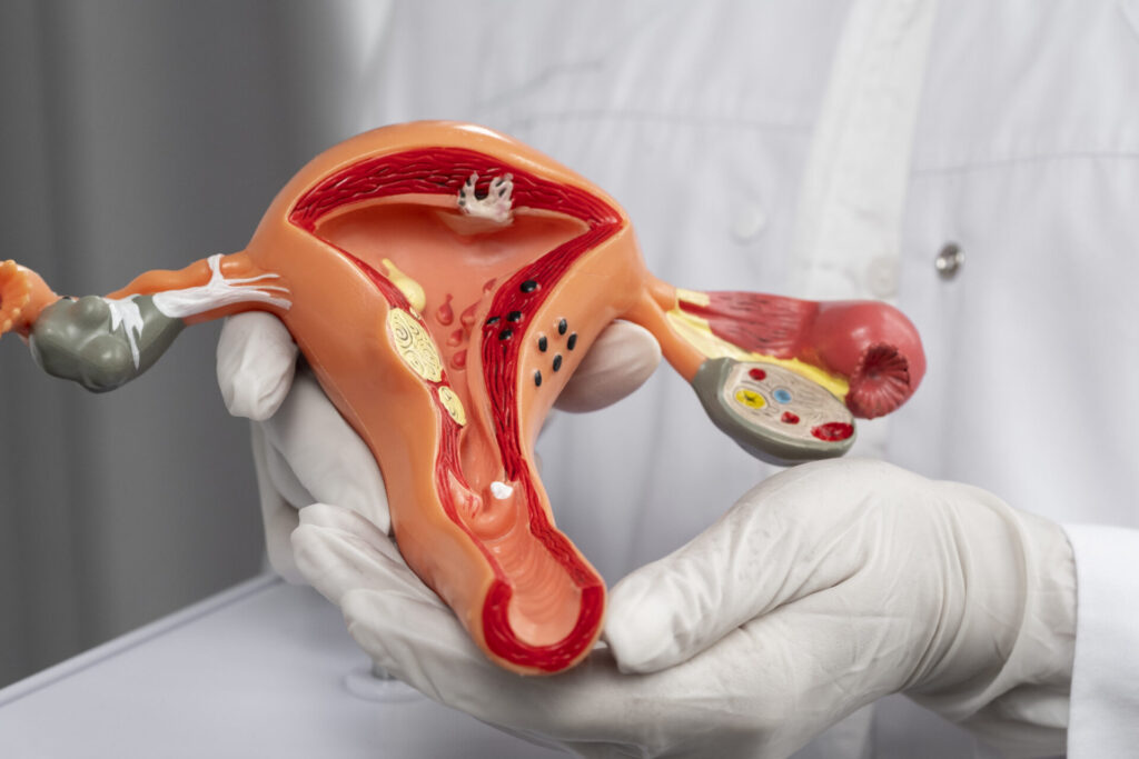 doktor-derzit-anatomiceskuu-model-pod-vysokim-uglom